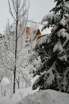 2009-03-WHISTLER WITH MUSSATTOS 14.jpg